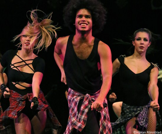 Möllan dec 2012 1697