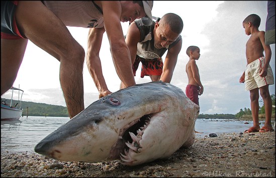 baracoa-bahia de la mata 057